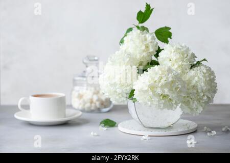 Stillleben mit einer Tasse Tee oder Kaffee, einem Glas Süßigkeiten und einem Strauß weißer Blumen in einer Vase. Sommermorgen-Konzept. Horizontales Bild Stockfoto