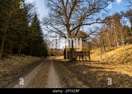 Frühlingswanderung durch den Wildpark Josefslust bei Sigmaringen, dem Jagdgebiet der Hohenzollern Fürsten Stockfoto