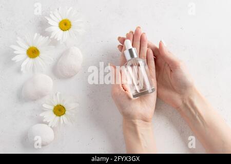 Glasflasche mit feuchtigkeitsspendendem Serum in weiblichen Händen mit weißer Maniküre. Weißer Hintergrund mit weißen Kamillen und Steinen. Bio-Naturkosmetik Stockfoto