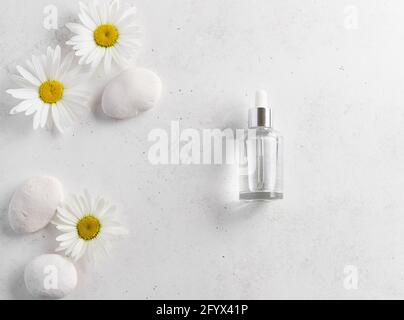 Glasflasche mit kosmetischem Serum auf weißem Hintergrund mit frischen Gänseblümchen und Steinen. Beauty-Konzept. Vorlage für Werbung. Platz für Ihren Text Stockfoto