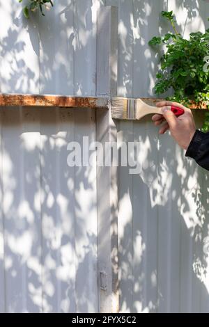 mans Hand hält einen Pinsel und malt einen Metallzaun In grau Stockfoto