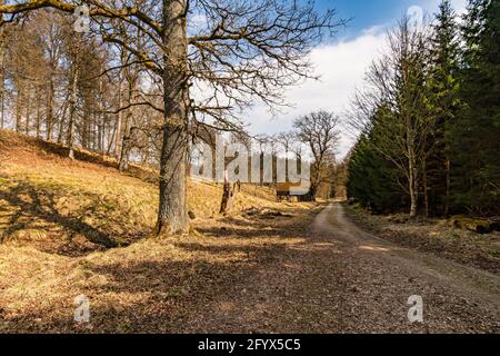 Frühlingswanderung durch den Wildpark Josefslust bei Sigmaringen, dem Jagdgebiet der Hohenzollern Fürsten Stockfoto