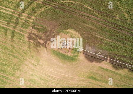 Luftaufnahme von Center Pivot Bewässerungsanlagen zur Bewässerung von grünen Sojabohnensämlingen auf der Plantage, Drohne pov Aufnahmen Stockfoto