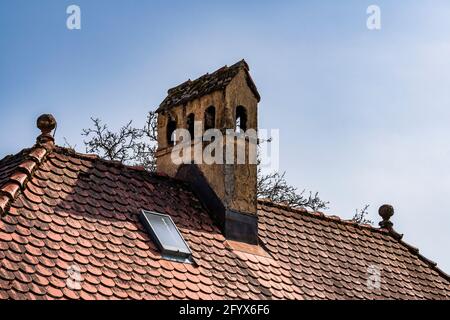 Frühlingswanderung durch den Wildpark Josefslust bei Sigmaringen, dem Jagdgebiet der Hohenzollern Fürsten Stockfoto