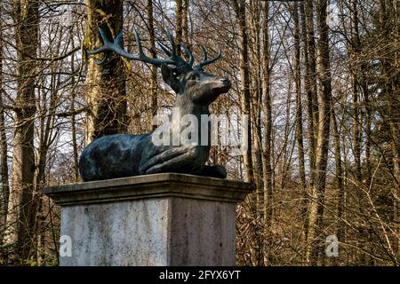 Frühlingswanderung durch den Wildpark Josefslust bei Sigmaringen, dem Jagdgebiet der Hohenzollern Fürsten Stockfoto