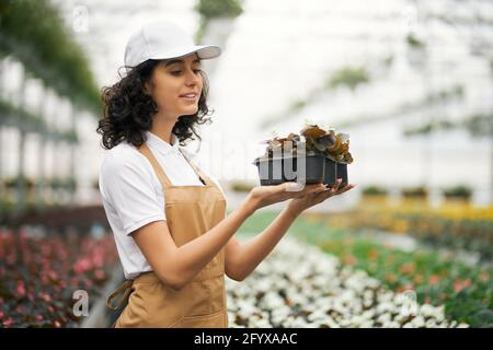 Attraktive junge Frau mit weißer Mütze und beigefarbener Schürze, die den Blumentopf in den Händen hält, während sie am riesigen Gewächshaus steht. Konzept von Pflanzen und Gartenarbeit. Stockfoto