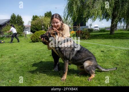 Ein Teenager-Mädchen spielt mit einem glücklichen sechs Monate alten Schäferhund Welpen. Grünes Gras und ein blauer Himmel im Hintergrund. Working Line Breed Stockfoto