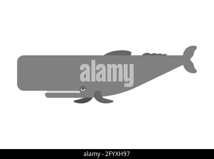 Pottwal isoliert. Cachalot großen Wal Vektor-Illustration Stock Vektor