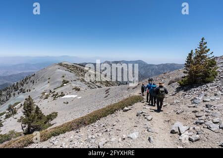 San Gabriel Mountains National Monument, Kalifornien, USA - 23. Mai 2021: Wanderer auf dem beliebten Devils Backbone Trail nahe dem Gipfel des Mt Baldy. Stockfoto