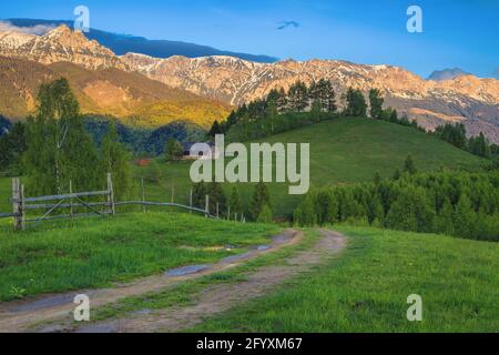 Alte Holzscheune am alpinen grünen Hang. Atemberaubende schneebedeckte Berge bei Sonnenuntergang im Hintergrund, Bucegi Berge, Karpaten, Rumänien, Europa Stockfoto