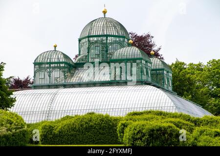 Brüssel, Belgien, 28. Mai 2021. Belgien, Brüssel, Königliche Gewächshäuser von Laeken Stockfoto