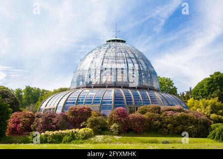 Brüssel, Belgien, 28. Mai 2021. Belgien, Brüssel, Königliche Gewächshäuser von Laeken Stockfoto