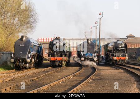 Ein Dampfgala-Tag auf Barrow Hill Stockfoto