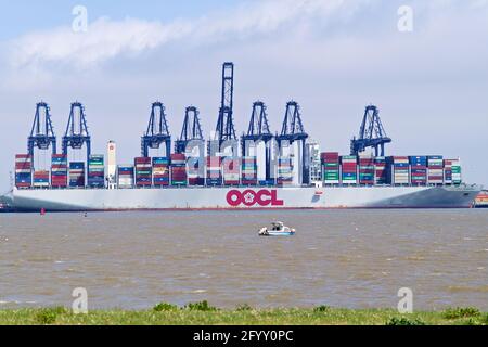 Das Containerschiff OOCL Scandinavia dockte im Hafen von Felixstowe, Suffolk, Großbritannien, an. Stockfoto