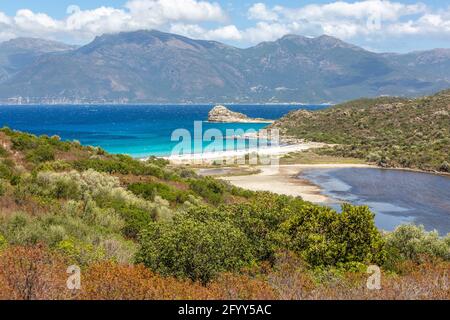 Lotu Beach, Haute-Corse, am Rande der Wüste Agriates. Korsika, Frankreich Stockfoto