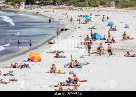 Lotu Beach, Haute-Corse, am Rande der Wüste Agriates. Korsika, Frankreich Stockfoto