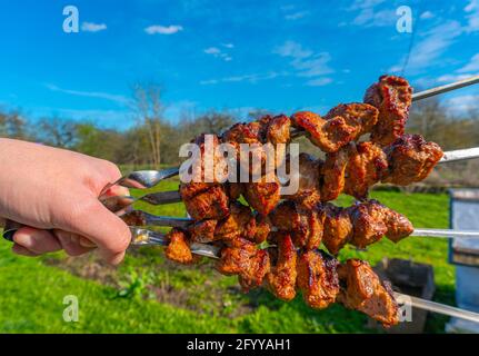 Hand hält Spieße mit gebratenen Kebabs auf grünem Gras und blauem Himmel Hintergrund, gegrilltes Fleisch auf Spieße Stockfoto