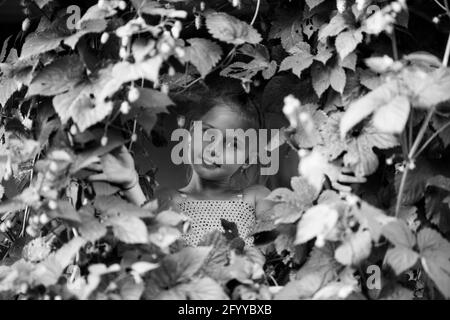 Ein kleines Mädchen schaut hinter den Büschen im Garten hinaus. Schwarzweiß-Porträt. Stockfoto