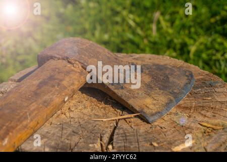 Eine rostige Axt liegt auf einem Baumstumpf Stockfoto