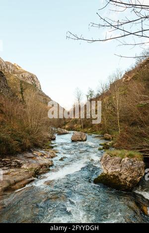 Schnelles Wasser eines Baches mit Felsen, die zwischen blattlosen Bäumen fließen Und Berggebiet mit Gras in der wilden Natur gegen bedeckt Wolkenloser Himmel Stockfoto
