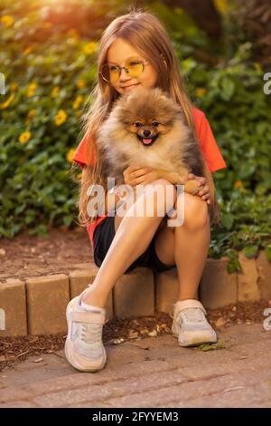 Kindertraining, Spielen mit Hund im Freien. Kleines Mädchen nimmt den spitz in die Arme. Kind umarmt ein Haustier. Glückliches Baby läuft mit einem pommern. Stockfoto