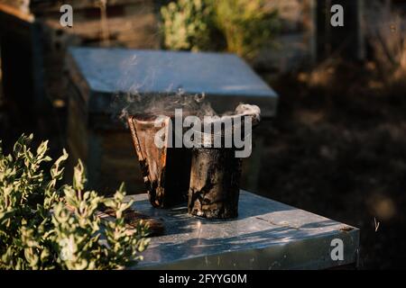 Der Metallbienenmker wurde in der Nähe des Bienenstocks im Bienenhaus bei Sunny aufgestellt Tag auf dem Land Stockfoto