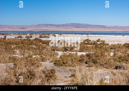 USA, CA, Salton Sea - 28. Dezember 2012: Nordwestlich der Küste von salzigem Sand in der Nähe von Graner mit braunen Sträuchern waschen. Blaues Wasser und trockene braune Berge am Horizont Stockfoto