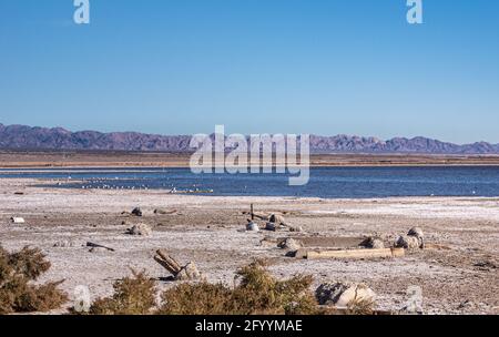 USA, CA, Salton Sea - 28. Dezember 2012: Grau-bräunliche Überreste früherer Bauwerke verbleiben am Niland Beach in der Nähe von blauem Wasser unter hellblauen s Stockfoto