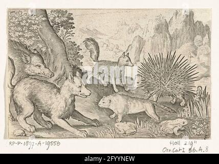 Wildschwein, Füchse, Biber, Stachelschweine und Frösche; Animalivm qvadrvpedvm; Tiere in Landschaften. Stockfoto