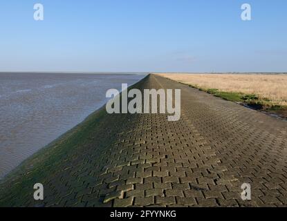 Promenade An Der Küste Mit Reed Und Dem Leuchtturm Von Pilsum Im Hintergrund Im Nationalpark Wattenmeer Ostfriesland an EINEM sonnigen Wintertag Stockfoto