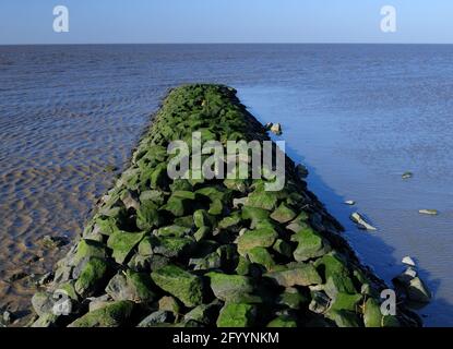 Blick von EINEM Spur Deich auf die Nordsee hinein Der Nationalpark Wattenmeer Ostfriesland auf EINEM sonnigen Wintertag mit EINEM klaren blauen Himmel Stockfoto