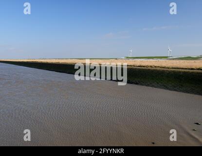 Blick von EINEM Spur Deich auf die Küste und Der Deich Im Nationalpark Wattenmeer Ostfriesland An EINEM sonnigen Wintertag mit KLAREM blauen Himmel Stockfoto