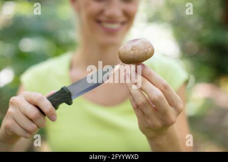 Junge Frau mit Messer Pilze sammeln im Wald Stockfoto