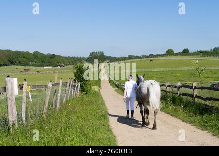 Frau gehen Seite an Seite mit weißem Pferd an sonnigen Frühlingstag, Kent, England, Fußweg auf dem Feld Stockfoto