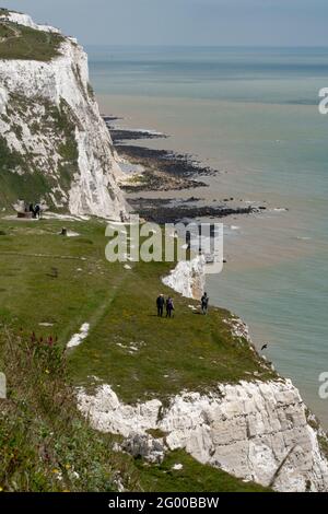 Die White Cliffs of Dover, Teil der North Downs Formation, ist die Region der englischen Küste mit Blick auf die Straße von Dover und Frankreich. Kent, England Stockfoto