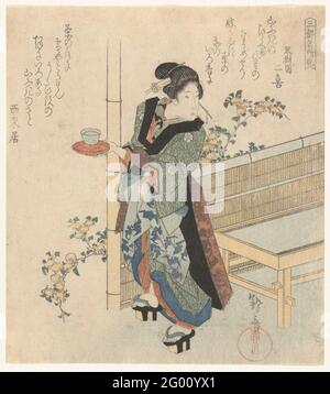 Kellnerin bei Yamabuki Blumen; berühmte Blumen der drei Hauptstädte; Santo Meishobana. Kellnerin eines Teehauses, mit einem Tablett in der rechten Hand mit Tasse, stehend am Tisch und Bambuszaun, hinter dem ein Strauch mit gelben Yamabuki Blumen. Gedicht oben links vom Dichter Sailaikyo; Gedicht oben rechts durch den Dichter Kinjuen Futaki. Stockfoto