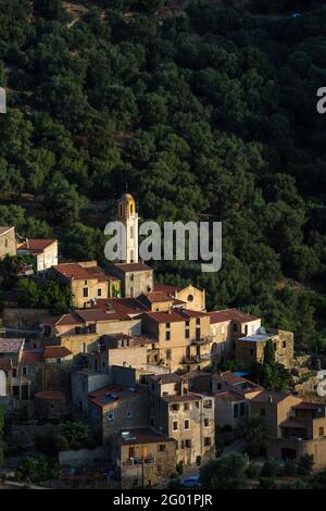 FRANKREICH. HAUTE-CORSE (2B) BALAGNE. AVAPESSA DORF Stockfoto