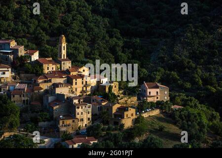 FRANKREICH. HAUTE-CORSE (2B) BALAGNE. AVAPESSA DORF Stockfoto