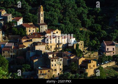 FRANKREICH. HAUTE-CORSE (2B) BALAGNE. AVAPESSA DORF Stockfoto