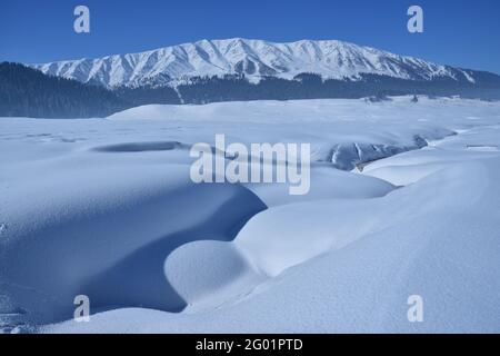 Gulmarg-Tal im Winter, Kaschmir, Indien Stockfoto