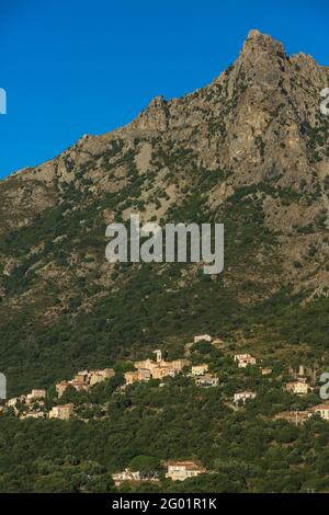 FRANKREICH. KORSIKA. HAUTE-CORSE (2B) REGION BALAGNE. NESSA VILLAGE Stockfoto