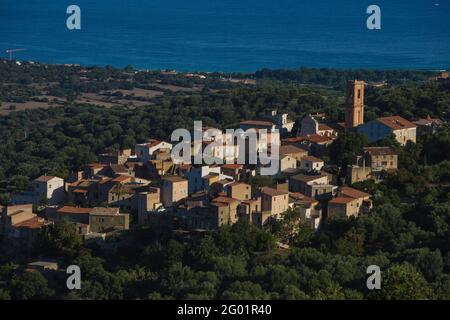 FRANKREICH. KORSIKA. HAUTE-CORSE (2B) REGION BALAGNE. AREGNO Stockfoto
