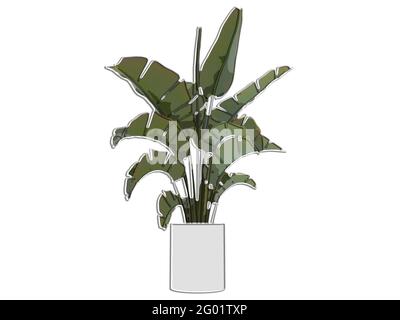 Laub, Bananenpalme in einem weißen Keramiktopf mit gesprungenen Blättern, Vorderansicht, Marker-Stil, 3D Stockfoto