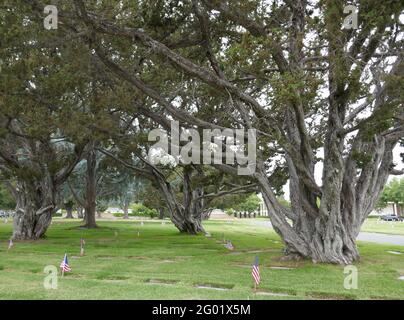 Santa Ana, Kalifornien, USA 29. Mai 2021 EIN allgemeiner Blick auf die Atmosphäre des Fairhaven Memorial Parks in Santa Ana, Kalifornien, USA. Foto von Barry King/Alamy Stockfoto Stockfoto