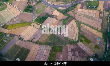 Luftaufnahme des Paddy-Feldes nach der Ernte und Vorbereitung des Gebiets für den Reisanbau in der neuen Saison in NAN, THAILAND. Landwirtschaftliches Konzept Stockfoto