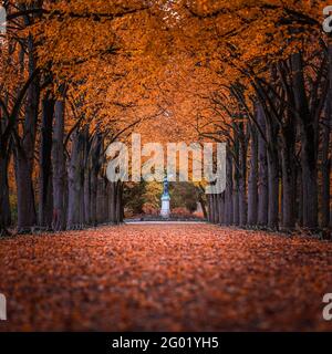 Godollo, Ungarn - schmale Gasse im Elisabethpark umgeben von bunten roten und gelben Linden im Herbst. Boden ist voll mit Herbst fol bedeckt Stockfoto