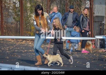Mama mit ihrer Tochter und ihrem Hund an einer Leine, die bei einer Hundeausstellung um den Ring läuft. Eine Erwachsene Frau hilft einem Mädchen, einen Mops an der Leine zu halten. Ein glückliches Kind w Stockfoto