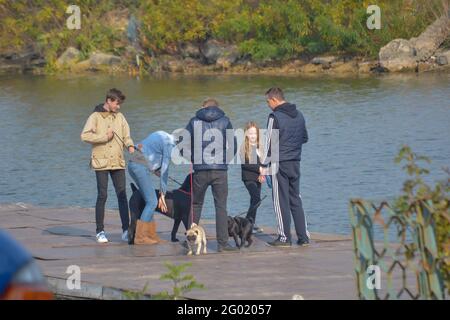 Frau mittleren Alters mit ihrer Tochter und drei Teenager mit ihren Haustieren auf dem Pier. Die Menschen schlendern mit ihren Hunden am Flussufer des Herbstes entlang. Hunde sind es Stockfoto