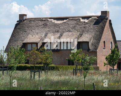 Sint Gillis Waas, Belgien, 29. Mai 2021, Haus mit einem beschädigten Strohdach Stockfoto