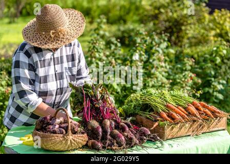 Lokaler Bauer verkauft frisches Gemüse auf dem Markt, Bio-Produkte aus dem Garten im Herbst geerntet Stockfoto